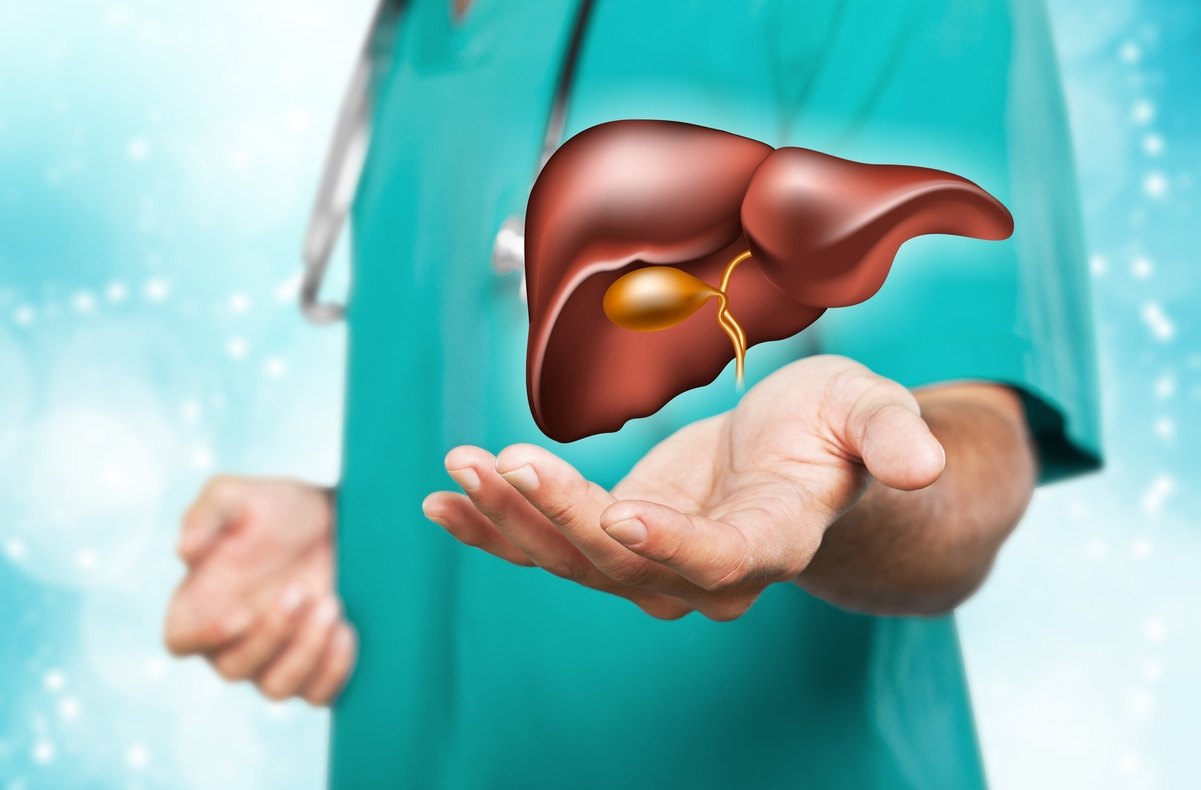 Doctor holding an illustration of a healthy liver above an open hand